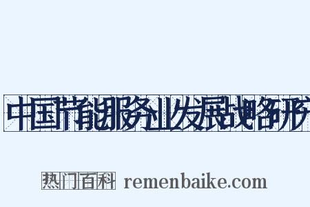 中国节能服务业发展战略研究是什么意思的图片